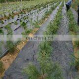 High Quality Polyethylene Garden Weed Control Planting Mat thumbnail-4