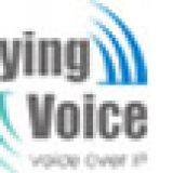 Shenzhen Flyingvoice Technology Co.,Ltd
