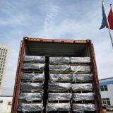 201905111129021-250x300