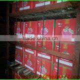 Fuji Apple Processing Factory/fresh Apple thumbnail-4