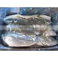 Frozen Yellow Tail Fish Price Horse Mackerel Seafood thumbnail-3