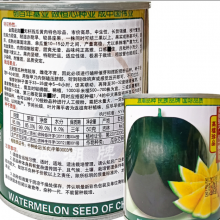 750pcs f1 Hybrid Red and Yellow Seedless Watermelon Seeds for Planting thumbnail-2