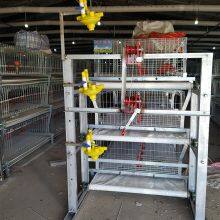 hebei chicken cages layer 128 poultry farming chicken cage for tanzania