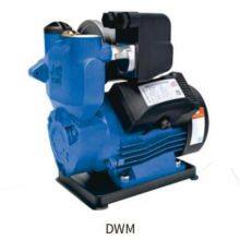 DWM-(Z) Series Peripheral Pumps thumbnail-1