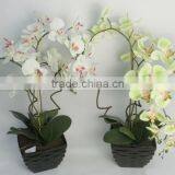 Best Selling Indoor Decoration Artificial Flowers Fake Orchid thumbnail-5