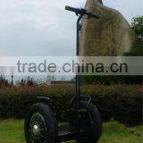 Two Wheels Auto Balance Bike /Electric Chariot(SKD-SG01)