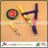 Safety Bucklerope Dog Strap Heat Transfer Printing Washable thumbnail-6