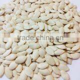 Bulk Vegetable Seeds China Shine Skin Pumpkin Seeds Grade a thumbnail-6