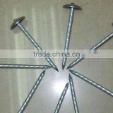 Galvanized Umbrella Head Roofing Nails With Smooth/Twist Shank by Low Price Quality Choice Most Popular thumbnail-6