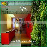 China Vertical Artificial Green Wall Factory Wholesale thumbnail-6