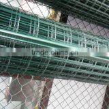 Green Pvc Coated Welded Wire Mesh 2 Inch