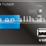 portable amplifier usb fm tuner
