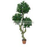 Imitation Olive Tree