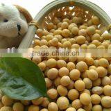 Organic Soya Beans( New Crop,Heilongjiang Origin) thumbnail-6