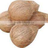 Premium Quality Natural Coconut