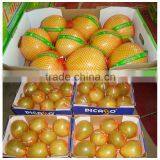 Chinese Fresh Honey Pomelo Citrus Fruits With Wholesales Price thumbnail-2