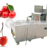 Industrial Olive Pit Removing Machine, Olive Pitter, Olive Pitting Machine With CE Certificated