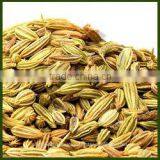 Fennel Seed Oil thumbnail-1