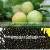 Humic Amino Acid Organic Fertilzier