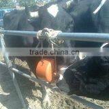 Animal Salt Mineral Licking Block Press Machine thumbnail-3