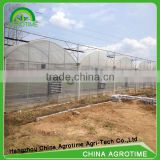 Plastic multi span greenhouse for sell CMR8060