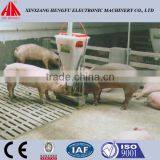 Dry/Wet Plastic Feeder for Finishing Pig Farm thumbnail-2
