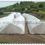 Insect Mesh Net for Agricultural Protection thumbnail-2