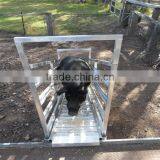 Cow Loader Horse Loader Cattle Loader thumbnail-1