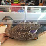 OEM Blow Molding Plastic Duck Decoy Hunting HDPE Foraging Duck thumbnail-3