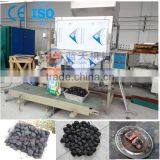 Professional Automatic Charcoal Ball Packing Machine thumbnail-1