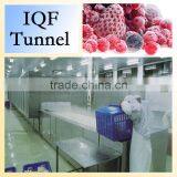Newest Design High Quality Tunnel Quick Freezing Freezers Food Machinery