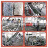 Best Price High Quality PET Washing Plant thumbnail-1