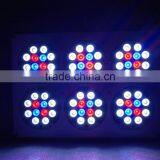 High Quality Apollo Cob 6 Led Grow Light for Grow Plant thumbnail-3