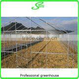 Plastic Film Cover Steel Frame Used Greenhouse thumbnail-3
