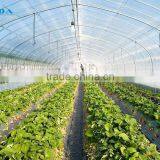 Cheap Tunnel Green House Baolida Vegetable Tunnel Green House for Tomato thumbnail-3