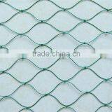 Hot Selling Golden Supplier High Quality Bird Control Netting Anti-bird Net thumbnail-3