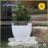 " TOP 1 Pot Supplier" Decoration Container Homes for Sale Home Gardening Plastic Pots