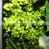 Stickers Home Garden Deco 200*200 cm Indoor or Outdoor Artificial Corner Succulent Green Climbing Plant Wall Ezwq10 1012 thumbnail-1