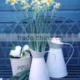 Galvanzied Metal Flower Jugs thumbnail-3
