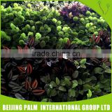 China Direct Sale Artificial Green Wall