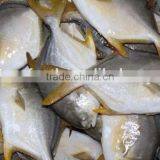 Seafood Product and Goden Pomfret thumbnail-1