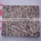 Hot Sales Great Quality Whole Round Frozen Baby Squid for Sale thumbnail-5