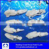 Frozen Baby Squid 3-5cm thumbnail-1