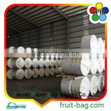 TPBI Cheap Grape Growing Cultivating Bag White Kraft Paper Bag Grape Protection Paper Bag thumbnail-5