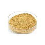 Chlorogenic Acid thumbnail-1