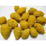 Turmeric Powder thumbnail-2