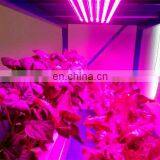 Relight Full Spectrum Led Strip Grow Lights for Vegetable Cultavation and Greens Growth thumbnail-5