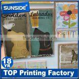 Wholesale Cheap Poster Printing,flex Banner Printing in Shenzhen D-0607 Supplier's Choice