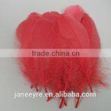 Hot Design!!! Factory Suppler Colorful Feather Accessory thumbnail-6