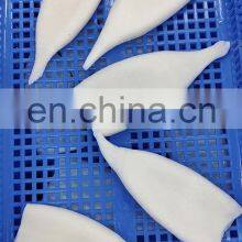 Good Price Frozen Squid Tube Skinless Tip on thumbnail-4